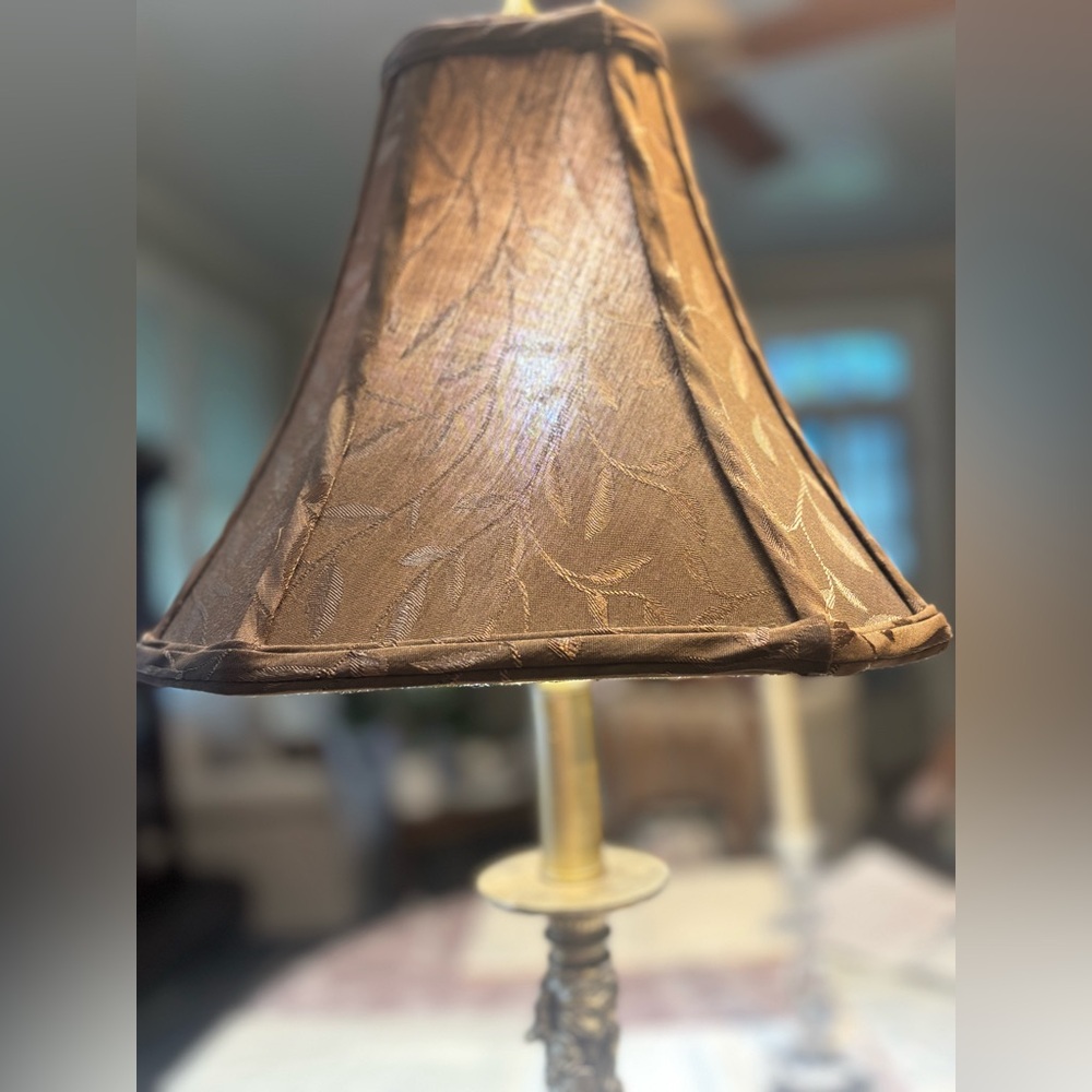 Meet, Lil Brownie! Elegant Brown Table Lamp Shade